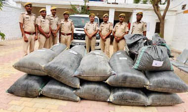 मीठड़ी-देसू के रास्ते में खड़ी स्कॉर्पियो से 4 क्विंटल से अधिक डोडा पोस्त बरामद