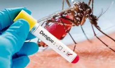 गांवों के बजाय शहरी क्षेत्रों में डेंगू के प्रति अधिक बरती जा रही लापरवाही, बीते वर्ष जालोर जिलेभर में 39 में से 10 मामले शहरी क्षेत्र के आए