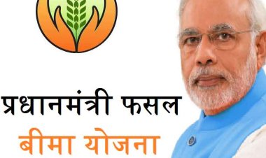 प्रधानमंत्री फसल बीमा योजना के तहत खरीफ-2025 की फसलों का बीमा करवा सकेंगे किसान
