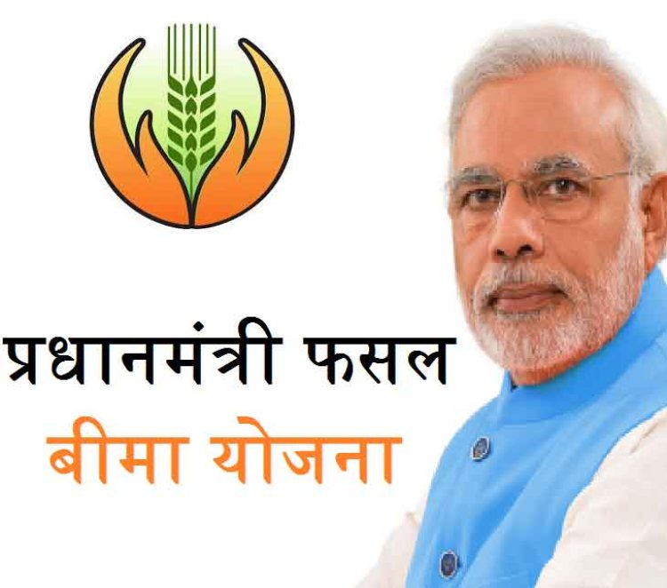 प्रधानमंत्री फसल बीमा योजना के तहत खरीफ-2025 की फसलों का बीमा करवा सकेंगे किसान