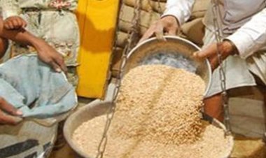 जालोर जिले में रिक्त व नवसृजित 63 उचित मूल्य दुकानों के आवंटन के लिए आवेदन पत्र आमंत्रित