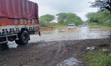 नारणावास-बागरा मार्ग पर जलभराव बना ग्रामीणों की परेशानी का कारण
