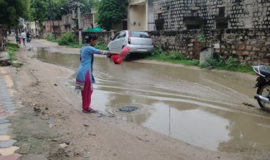 सावधान ! मच्छर न पनपने दें... जरूरत पड़ने पर चिकित्सा विभाग को सूचित करें