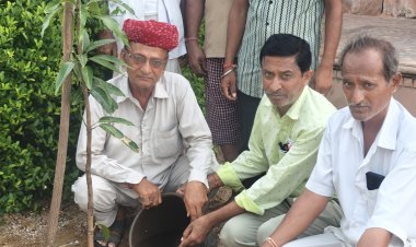 सांवलाजी मंदिर प्रांगण में 700 पौधों का रोपण, हरियाली अमावस्या पर एक हजार पौधों का लक्ष्य