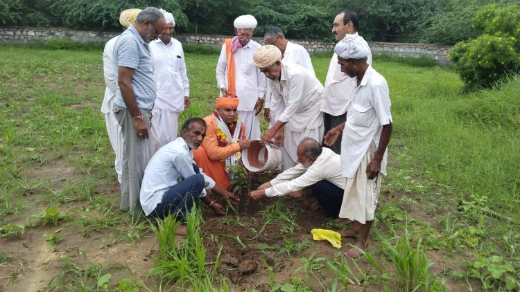 गायत्री आश्रम के महाराज विष्णु स्वरूप के जन्म दिवस पर किया पौधरोपण