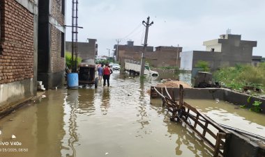 जालोर शहर में 123 एमएम बारिश से डूब क्षेत्र की कॉलोनियों में हुआ जल भराव