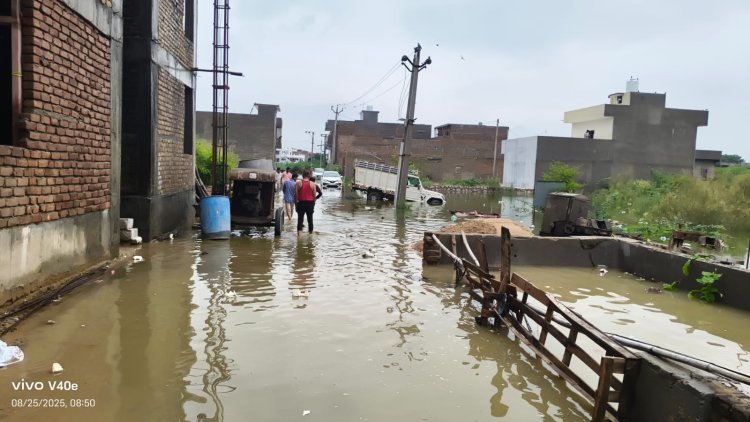 जालोर शहर में 123 एमएम बारिश से डूब क्षेत्र की कॉलोनियों में हुआ जल भराव
