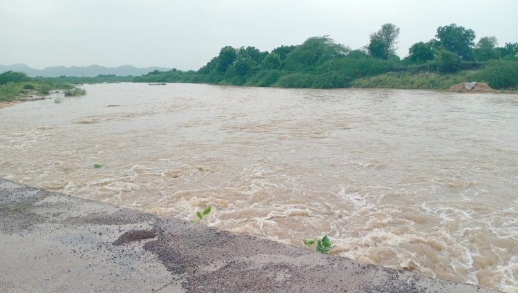 जवाई बांध का गेज पहुंचा 56 फीट के करीब, कई गांवों में अच्छी बारिश, जालोर में 126 एमएम