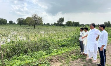 पूर्व सांसद पटेल ने चक्रवात व अतिवृष्टि प्रभावित क्षेत्रों का दौरा कर किसानों व ग्रामीणों से मुलाकात की