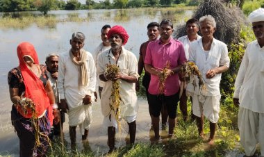 आहोर उपखण्ड क्षेत्र के 50 से अधिक गांवों की फसलें बरसाती पानी से हो गई बेकार... किसानों की पुकार, अब तो सुनो सरकार!
