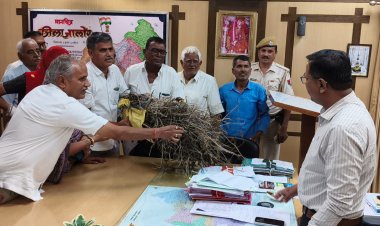 आहोर क्षेत्र में बरसाती पानी भरने से खेतों में तबाह हुई फसलें, डंठल की गठरी लेकर कलेक्ट्रेट पहुंचे किसान