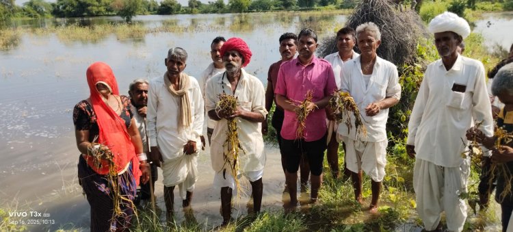 आहोर उपखण्ड क्षेत्र के 50 से अधिक गांवों की फसलें बरसाती पानी से हो गई बेकार... किसानों की पुकार, अब तो सुनो सरकार!