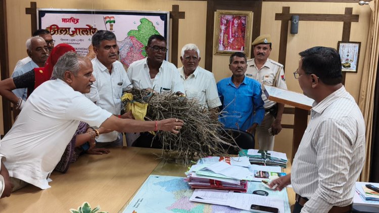 आहोर क्षेत्र में बरसाती पानी भरने से खेतों में तबाह हुई फसलें, डंठल की गठरी लेकर कलेक्ट्रेट पहुंचे किसान