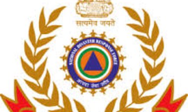 राज्य आपदा मोचन निधि से जिले में क्षतिग्रस्त 1141 विद्यालय भवनों, 78 आंगनवाड़ी केन्द्रों, 453 सड़कों, 45 पुलियों व 135 नहरों की तात्कालिक मरम्मत के लिए प्रशासनिक स्वीकृति जारी