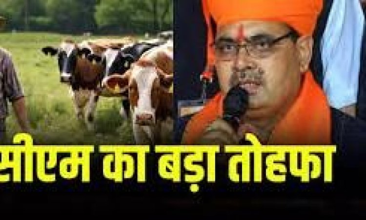 मुख्यमंत्री दुग्ध उत्पादक संबंल योजना में जालोर के पशुपालकों को सरकार ने 41 करोड़ बांटे