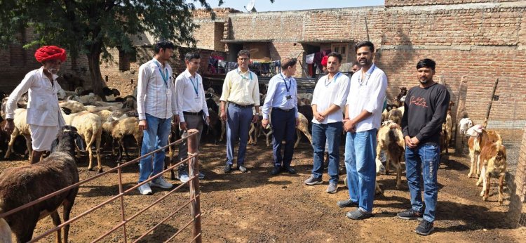 पशुपालन विभाग के निदेशक डॉ. आनंद सेजरा ने भेड़ों में फैली ब्लू टंग वायरल बीमारी के नियंत्रण एवं मॉनिटरिंग के लिए आहोर क्षेत्र का किया दौरा