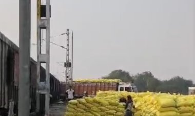 कृषि विभाग ने की अपील : वर्तमान आवश्कता के अनुसार ही कृषक यूरिया का क्रय करें