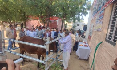 सायला में जिला कलेक्टर ने नि:शुल्क पशु शल्य चिकित्सा शिविर का शुभारंभ