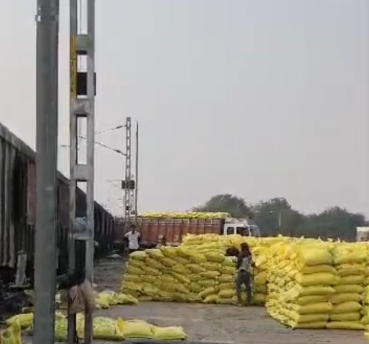 कृषि विभाग ने की अपील : वर्तमान आवश्कता के अनुसार ही कृषक यूरिया का क्रय करें