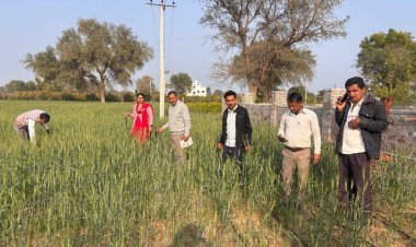 जिले के जलभराव क्षेत्र में विशेष स्वास्थ्य अभियान से मलेरिया-डेंगू पर नियंत्रण