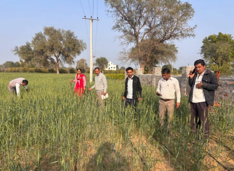 जिले के जलभराव क्षेत्र में विशेष स्वास्थ्य अभियान से मलेरिया-डेंगू पर नियंत्रण