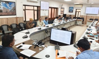 जालोर ज़िले की सड़कों पर विचरण करने वाले निराश्रित पशुओं को हटाएं - ज़िला कलक्टर