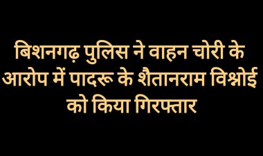 बिशनगढ़ पुलिस ने वाहन चोरी के आरोपी को पकड़ा, 33 प्रकरण दर्ज है विरुद्ध