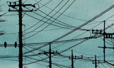 जालोर डिस्कॉम ने बकाया विद्युत राजस्व वसूली के लिए अभियान चलाकर फरवरी में 1520 कनेक्शन काटे, 29 ट्रांसफार्मर हटाए