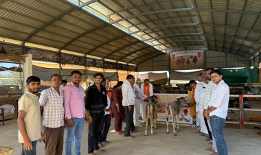 भाजपा राष्ट्रीय उपाध्यक्ष एवं पूर्व मुख्यमंत्री वसुंधरा राजे के जन्मदिवस पर कार्यक्रम आयोजित