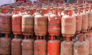 कमर्शियल एलपीजी सिलेण्डर के लिए करवाना होगा पंजीकरण - कलक्टर