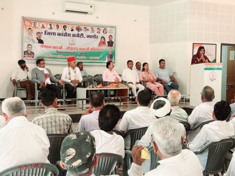 पंचायती राज एवं नगर निकायों के चुनाव टालकर लोकतंत्र पर कुठाराघात कर रही भाजपा सरकार - रमीला मेघवाल