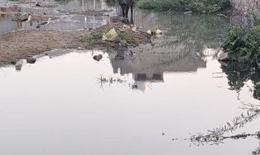 सीवरेज लाइन से बाहर निकल रहा गंदा पानी, बदबू और कीचड़ से परेशान आपनाथ कॉलोनीवासी