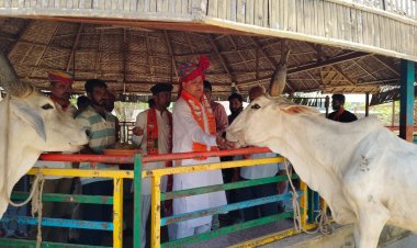  वंदे गंगा जल संरक्षण जन अभियान के तहत जिले की 308 गौशालाओं में स्वच्छता कार्यक्रम का हुआ आयोजन