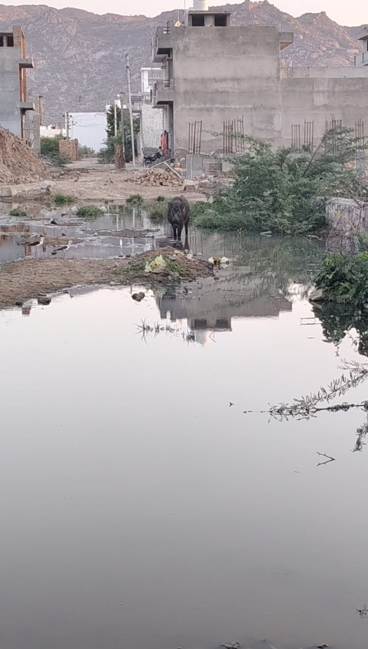 सीवरेज लाइन से बाहर निकल रहा गंदा पानी, बदबू और कीचड़ से परेशान आपनाथ कॉलोनीवासी
