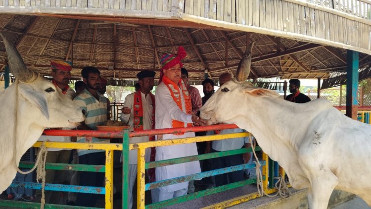  वंदे गंगा जल संरक्षण जन अभियान के तहत जिले की 308 गौशालाओं में स्वच्छता कार्यक्रम का हुआ आयोजन