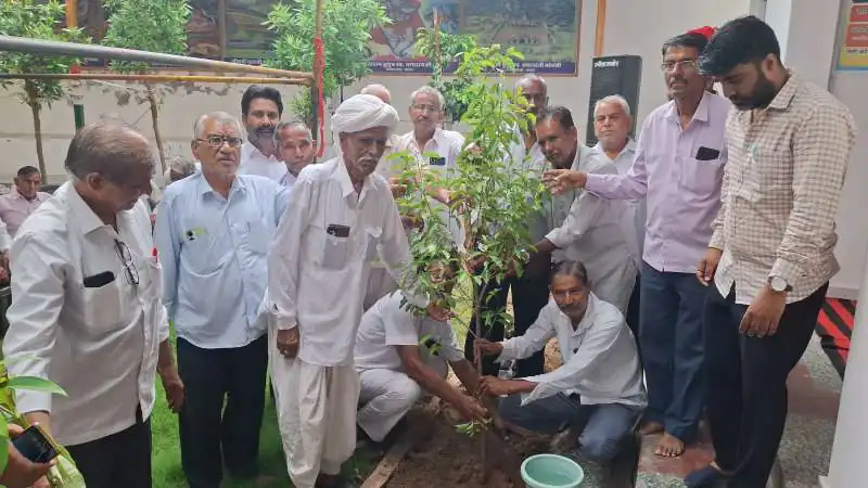 माली समाज मुक्तिधाम में किया पौधरोपण, भामाशाहों का किया सम्मान