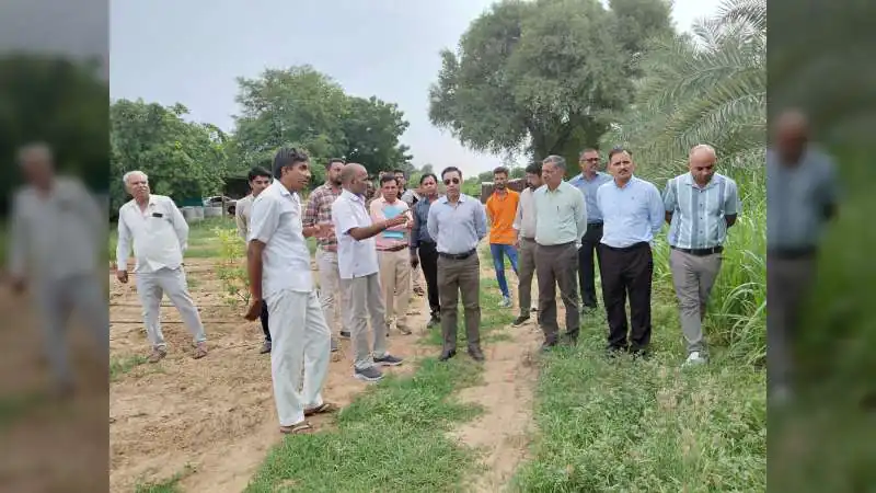 संयुक्त सचिव एवं केंद्रीय नोडल अधिकारी ने किया निरीक्षण : सायला में मोरिंगा, खजूर एवं अनार के बगीचों का किया अवलोकन, बावतरा में किनोवा प्रोसेसिंग यूनिट का निरीक्षण कर कृषि नवाचारों, चुनौतियों एवं मूल्य-संवर्धित उत्पादों पर की विस्तृत चर्चा