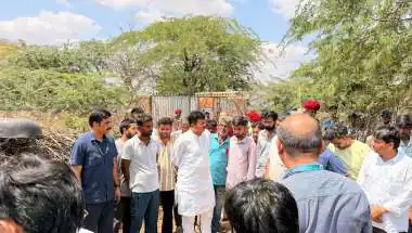 शंखवाली में अज्ञात जंगली जानवर का आतंक, 62 भेड़ों को बनाया शिकार